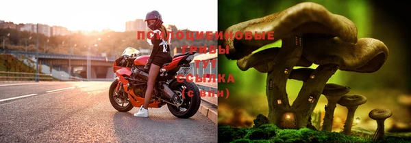 стафф Михайловка
