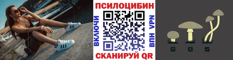 Купить  Лукоянов  Галлюциногенные грибы MAGIC MUSHROOMS 